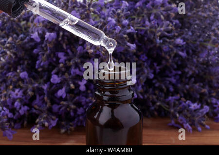 Pipette Drop ätherisches Öl in einer Glasflasche auf Lavendel Hintergrund. Nahaufnahme Stockfoto