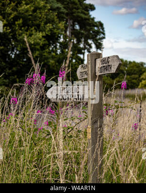 Eine hölzerne öffentlichen Wanderweg Wegweiser in einem Feld von wilden Blumen an einem sonnigen Tag in Suffolk. Stockfoto