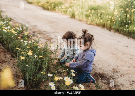 Kleine Kinder spielen in einer Blume Bereich Stockfoto