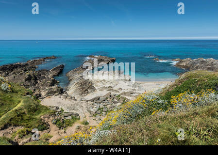 Das türkisfarbene Meer und schroffe Küste rund um wenig Fistral in Newquay in Cornwall. Stockfoto