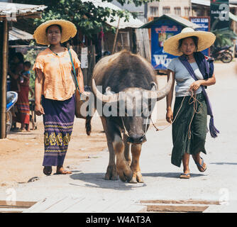 Indein, Myanmar - März 2019: Zwei burmesische Frauen in Strohhüte wandern ein Wasserbüffel durch die Straßen von Inn Dein. Stockfoto