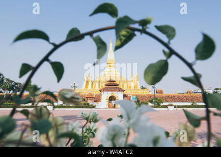 Goldenen Stupa des That Luang mit Bush Niederlassung in Vientiane, Laos eingerahmt. Stockfoto
