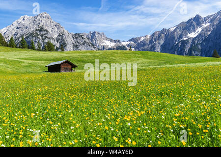 Herrliche Aussicht auf den österreichischen Alpen und die Wiese in der Nähe von Walderalm, Österreich, Gnadenwald, Tirol Stockfoto