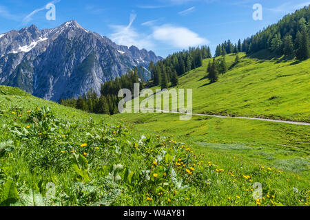 Schöne Berglandschaft in Alpen, Österreich Stockfoto