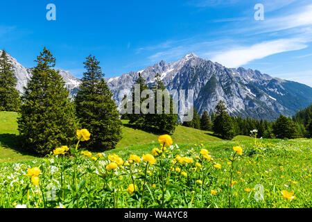 Malerische Wiesen und Wald befinden sich Amond die hohen Berge. Österreich, Gnadenwald, Tirol. Stockfoto