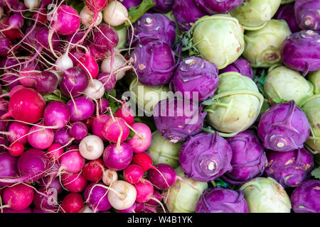 Anzeige der frische reife organische Radieschen und Kohlrabi auf dem Wochenende Landwirt im Okanagan Valley Stadt Penticton, British Columbia, Kanada. Stockfoto