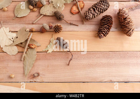 Herbst Hintergrund. Kegel, Eicheln und Stücke Holz auf Holz Hintergrund. Die Aussicht von oben. Stockfoto