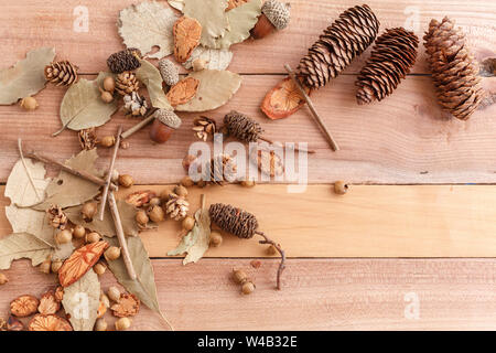 Herbst Hintergrund. Kegel, Eicheln und Stücke Holz auf Holz Hintergrund. Die Aussicht von oben. Stockfoto