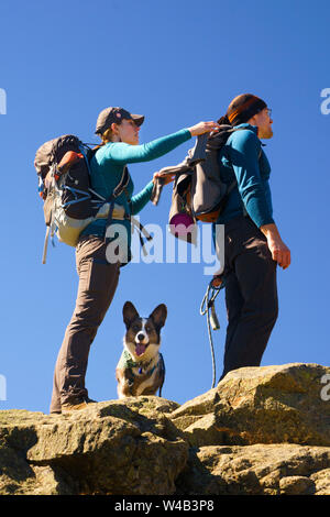 Wandern Paar auf einem Berg mit ihrem Welsh Corgi Cardigan. Stockfoto