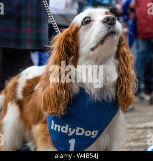 Oban, alle unter einem Banner Unabhängigkeit März - 2019 Stockfoto