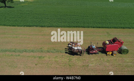 Luftaufnahme von einen amischen Farmer Ernte seine Ernte mit 4 Pferden und moderne Ausrüstung Stockfoto