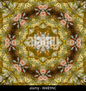 Rosa Blumen in eine kreisförmige Design mit grünen Blättern und gelborange Farbe. Geometrische Kaleidoskop Muster auf der Symmetrieachse gespiegelt Reflexion. C Stockfoto
