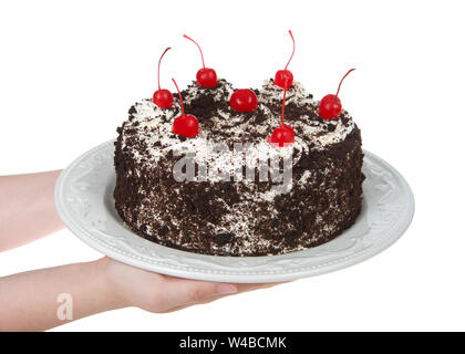 Junge weibliche kaukasischen Hände halten eine ganze Schwarzwälder Kirschtorte auf ein aus weißem Porzellan Platte auf einem weißen Hintergrund. Schlagsahne, Crumb ch Stockfoto