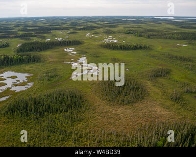 Flying Piper Super Cub vom Anchorage Lake Hood Airport PALH nach Alexander Creek. Susitna River, Point Mackenzie. Zulass Kochen. Tundra Reifen. Busflugzeug. Stockfoto