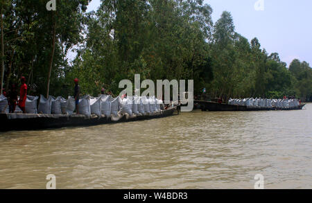 Tangail, Bangladesch. 21. Juli, 2019. Bewohner von tangail Arbeit der Böschung, die ihr Land vor Hochwasser zu schützen zu reparieren. Über millionen Menschen durch Überschwemmungen durch den Monsun Regen und ausufernden Fluss im Norden, Nordosten und hügeligen Regionen in Bangladesch ausgelöst betroffen. Credit: SOPA Images Limited/Alamy leben Nachrichten Stockfoto