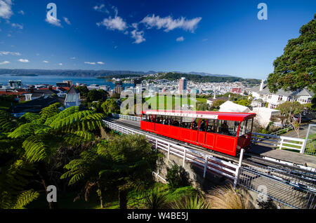 Seilbahn, Wellington, Neuseeland Stockfoto