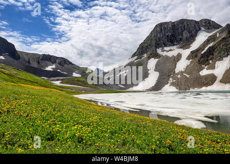 Blühende Bergwiese neben Eis der Bergsee. Juli. Tiva Republik. Zentralasien Stockfoto