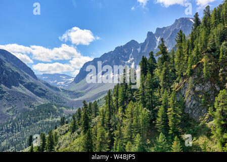 Dunkle Nadelwälder Taiga am Berghang im Juli. Tal Arzhan-Khem. Tuva. Zentralasien Stockfoto