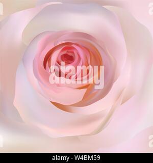 Zarten beige Rose Nahaufnahme. 3d realistische Rose. Schöne Rose. Romantische Hintergrund. Vector Illustration. Stock Vektor