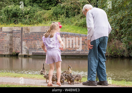 Opa und Enkelin feeding ducks, England, Großbritannien Stockfoto