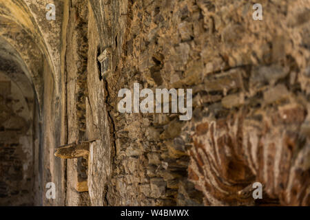 Einer der Mauern des Klosters der verlassenen Kloster von San Antonio de Padua, Garrovillas de Alconetar Stockfoto