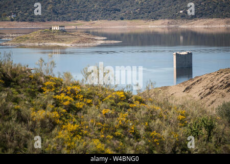 Turm von Floripes untergetaucht im Wasser des Tejo in den Stausee von Jose Maria Oriol in der Nähe von Garrovillas de Alconetar Stockfoto