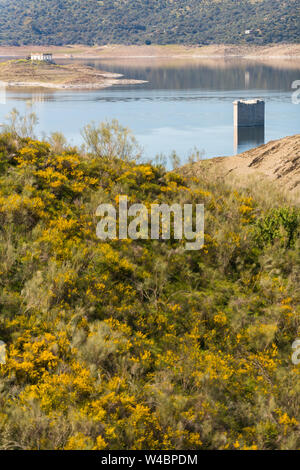 Turm von Floripes untergetaucht im Wasser des Tejo in den Stausee von Jose Maria Oriol in der Nähe von Garrovillas de Alconetar Stockfoto