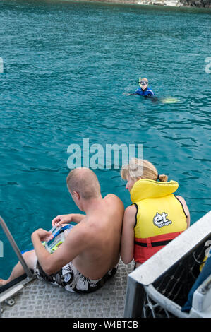 Eine Gruppe von Touristen auf einen eintägigen Ausflug zu den Whitsunday Inseln, Schnorcheln in den seichten Gewässern des Great Barrier Reef an Luncheon Bay Stockfoto