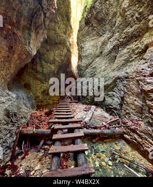 Canyon in Slovensky Raj, Slowakei Stockfoto