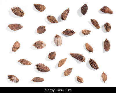 Schwarzer Cardamom (Amomum subulatum) auf weißem Hintergrund Stockfoto