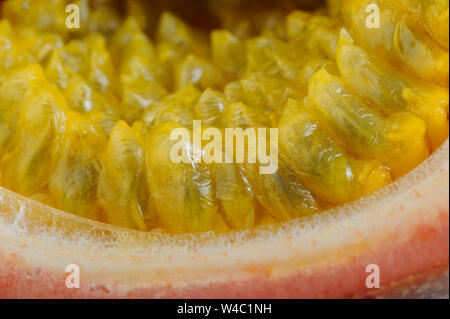 In der Nähe von Reifen Passionsfrucht Stockfoto