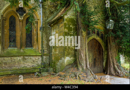 Der norden Holztür von St. Edward's Kirche in Wold in Gloucestershire mit alten Eiben entweder Seite Stockfoto