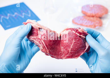 Fleisch steak Schicht in Lab Wissenschaftler Hände. Fleischkontrolle Kontrolle oder künstliche kultiviertes Fleisch Konzept. Stockfoto