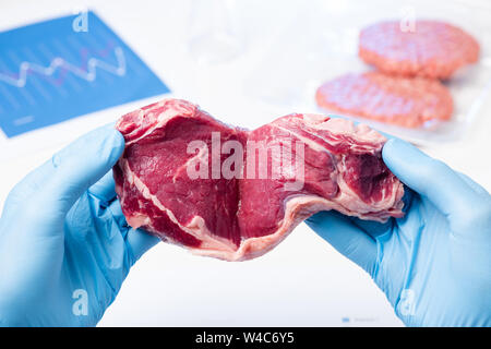 Rotes Fleisch im Labor Wissenschaftler Hände. Fleischkontrolle Kontrolle oder künstliche kultiviertes Fleisch Konzept. Stockfoto