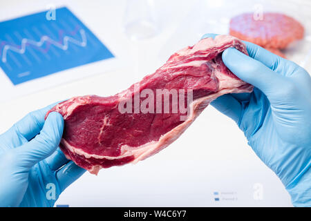 Fleisch im Labor Wissenschaftler Hände. Fleischkontrolle Kontrolle oder künstliche kultiviertes Fleisch Konzept. Stockfoto