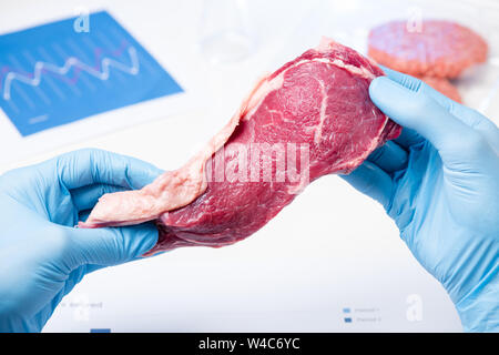 Fleisch Steak im Labor Wissenschaftler Hände. Fleischkontrolle Kontrolle oder künstliche kultiviertes Fleisch Konzept. Stockfoto