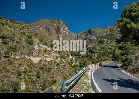 Ein 4050-Straße in Sierra del Chaparral, in der Nähe der Ortschaft Lentegi, Provinz Granada, Andalusien, Spanien Stockfoto