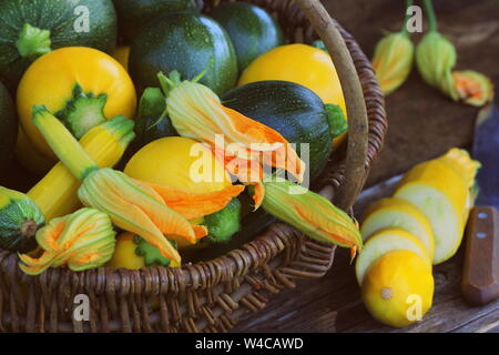 Ernte Zucchini. Frische squash im Korb liegen. Frische squash entnommen aus dem Garten. Organic Food Konzept. Stockfoto