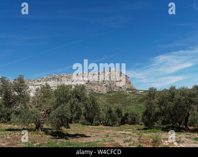 Die dramatische Landschaft und Klippen der El Torcal Bergkette über vom Tal aus den Bereichen Olivenhaine gesehen. Andalusien, Spanien. Stockfoto