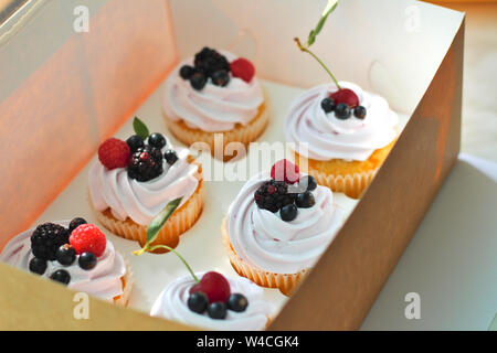 Isolierte kleine Kuchen mit Sahne, Kirsche mit einem Blatt, Brombeere, Himbeere schwarze Johannisbeere in einem Handwerk, auf einem weißen Hintergrund. Stockfoto