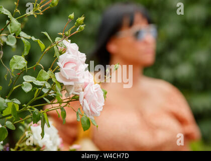 Blüte Detail der Rosen mit generischen blurry Menschen hinter an der Wimbledon Championships 2019. Gehalten an der All England Lawn Tennis Club, Wimbledon. Stockfoto