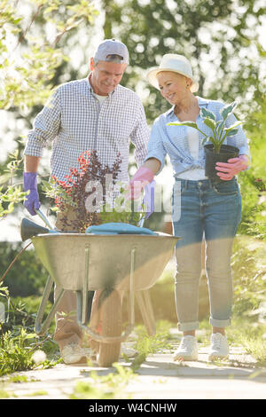 Volle Länge Portrait von Happy senior Paar zu Fuß in Richtung Kamera im Garten drücken Warenkorb mit Pflanzen Stockfoto
