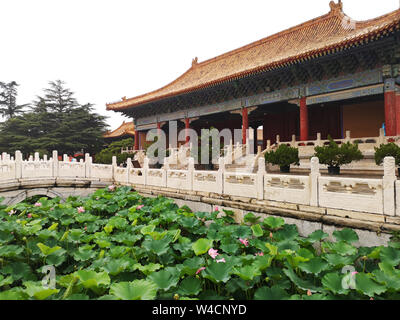 (190722) - Peking, 22. Juli 2019 (Xinhua) - Foto mit einem Mobiltelefon zeigt genommen Lotus Blumen in Peking der arbeitenden Menschen kulturelle Palast in Peking, der Hauptstadt von China, 20. Juli 2019. (Xinhua / Wang Junlu) Stockfoto