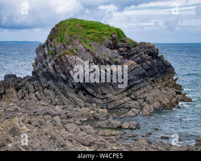 Geologische falten und neigt in Gesteinsschichten in küstennahen Felsen in Pembrokeshire, South Wales, UK, als von der Küste Weg gesehen. Stockfoto