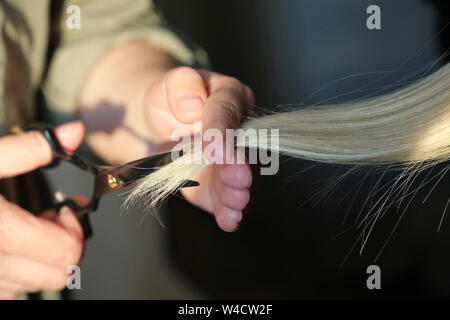 Frau Friseur schneidet die Haare von blond Girl, Schere in weibliche Hände, Haare schneiden Stockfoto