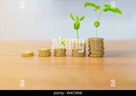 Hand Gold Münze mit Münzen Stapel Stockfoto