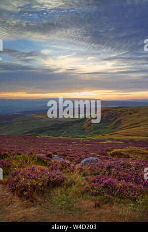 UK, South Yorkshire, Peak District, in der Nähe von Sheffield, Sonnenuntergang über der Hoffnung Tal von Higger Tor mit Heather in voller Blüte. Stockfoto