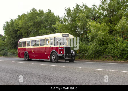 1953 50s Leyland Tiger PS2 Bus Sonntag auf dem A Festival of Transport statt, die in der Küstenstadt Fleetwood, Lancashire, Großbritannien Stockfoto