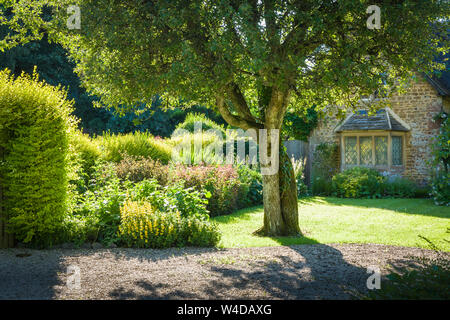 Sunlit Village Cottage Garten im Juli dduing Mitte Sommer in Großbritannien Stockfoto