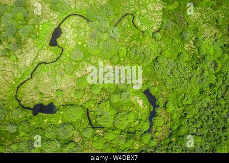 Trebonsko Region zeichnet sich durch eine außergewöhnliche Vielfalt an Lebensräumen. Die wertvollsten Biotope der Trebon region gehören die sogenannten Stockfoto